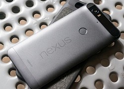 iPhone 13 quá nhàm chán, tài khoản Google Nexus phải "đội mồ sống dậy" sau 4 năm để nói rằng: Sẽ chờ Pixel 6