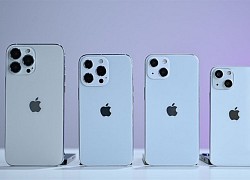 iPhone 13 thu hút người dùng vì lý do nào?