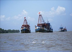 Khắc phục 'thẻ vàng' IUU - Bài 1: Quản lý chặt từ cấp cơ sở