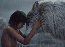 Sao nhí Jungle Book dậy thì thành công: Visual lãng tử quá trời đất, thế mà lại "ở ẩn" tại Hollywood tiếc ơi là tiếc!