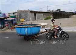 Triển khai cấp thẻ ngư dân 'vùng xanh' đánh bắt hải sản gần bờ