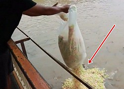 Chàng trai gây tò mò vì mang 2 túi bỏng ngô ra sông, vừa đổ xuống mặt nước đã "sôi sùng sục": Hôm sau quyết định đi câu