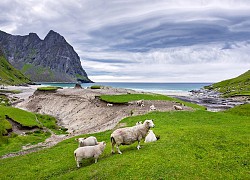 Du ngoạn quần đảo Lofoten - nơi hội tụ những thắng cảnh thiên nhiên tuyệt đẹp