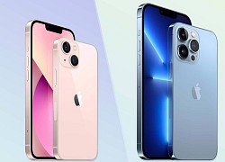 iPhone 13 so với iPhone 13 Pro: Bạn nên mua cái nào?