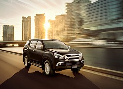 Isuzu đang bán những mẫu xe nào tại thị trường Việt Nam?