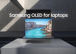 Samsung bắt đầu sản xuất hàng loạt tấm nền OLED 90Hz cho laptop