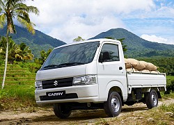 Suzuki Carry - Lời giải cho bài toán kinh doanh với xe tải nhẹ hiệu quả nhất