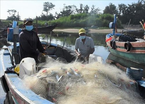 Tàu đánh bắt hải sản gần bờ ở các 'vùng xanh' Bà Rịa-Vũng Tàu được ra khơi