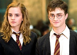 6 sự thật té ngửa ở hậu trường Harry Potter: Phần 5 phải dừng quay vì Hermione và Harry, tạo hình Voldemort suýt nữa thì khác