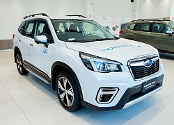 Bảng giá xe Subaru tháng 9: Subaru Forester được hỗ trợ lên tới hơn 200 triệu đồng