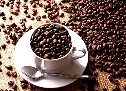 Giá cà phê hôm nay 22/9: Arabica quay đầu tăng, đầu cơ tích cực đưa Robusta về sàn khi nguồn cung đang rất thiếu