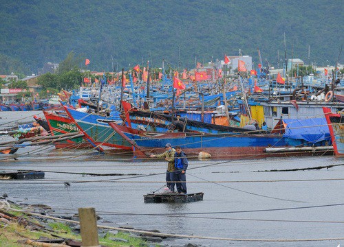 Ngư dân Đà Nẵng mang tàu thuyền lên đường, néo vô cây... đề phòng bão số 6