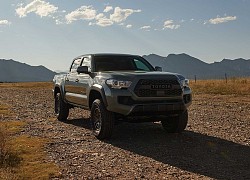 Toyota bác bỏ tin đồn Tacoma đời mới dùng chung khung gầm với Hilux