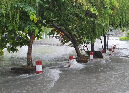 Vì sao Hải Phòng cứ mưa lớn phố lại thành sông?