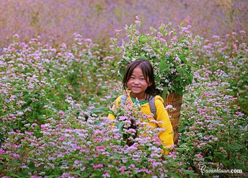 Xem loạt ảnh này bạn có trả lời ngay được câu hỏi "Khoảnh khắc thu sang ở tỉnh thành nào đẹp nhất Việt Nam?"