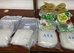 4,6kg ma túy ngụy trang trong cá khô và sứa biển xuất khẩu