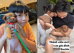 Anh em Subeo - Suchin thích thú chụp ảnh cùng bé cún vừa nhận nuôi