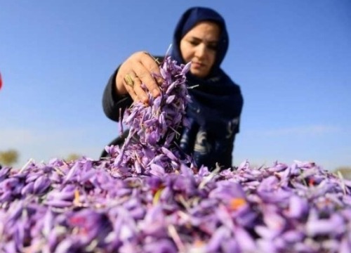 Bà trùm 'vàng đỏ' Afghanistan