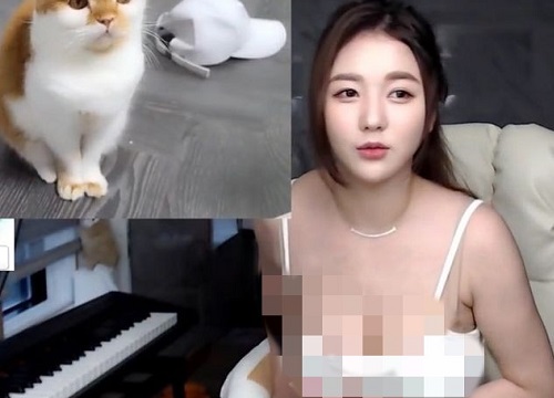 Bị anti xúc phạm dùng ngực câu donate, mang cả hình lên web 18+, nữ streamer gợi cảm tuyên bố "quit game" giữa đêm