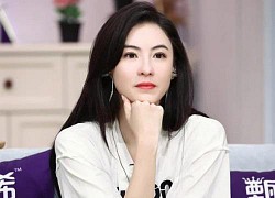 Bị hỏi Tạ Đình Phong có mang con trai tới gặp Vương Phi hay không, Trương Bá Chi phản hồi bằng vỏn vẹn 6 chữ