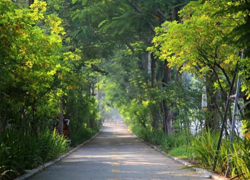 Cảnh sắc Hà Nội thay đổi khi thời tiết chuyển sang mùa thu