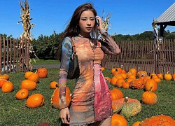 Chi Pu ngồi 1 mình giữa vựa bí ngô mà xinh xuất sắc, cho hỏi danh tính người cùng vi vu trên đất Mỹ?
