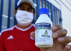 'Cơn bão' tin sai lệch về thuốc ivermectin lan tràn khắp thế giới