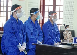 Dược sỹ sản xuất hơn 9.400 lọ thuốc giả theo đơn đặt hàng