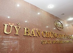 Giám sát chặt nhóm cổ phiếu giao dịch bất thường