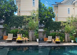 Hà Tăng thả dáng sương sương bên cún cưng, hé lộ góc biệt thự cực "chill" đúng chuẩn nhà không có gì ngoài "điều kiện"