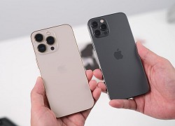 iPhone 13 Pro đọ dáng iPhone 12 Pro