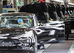 Nhà máy Tesla ở Thượng Hải sản xuất 300.000 xe trong 9 tháng