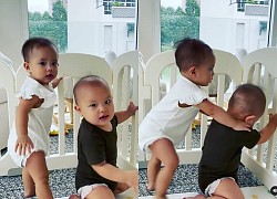 Nhóc tì Lisa nhà Hà Hồ nay đã biết "bắt nạt" em Leon