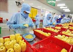 Phục hồi chế biến, xuất khẩu nông sản sau giãn cách