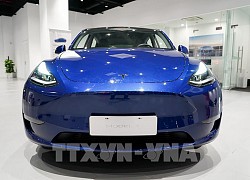 Tesla sẽ sản xuất 300.000 xe bất chấp sự thiếu hụt chất bán dẫn toàn cầu?