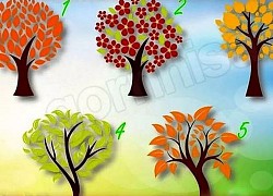 Chọn 1 cái cây, nó sẽ cho biết người bạn yêu trong tương lai là ai
