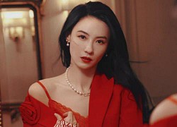 Trương Bá Chi đẹp ngỡ ngàng tuổi 41, Tạ Đình Phong có tiếc?