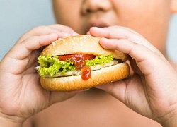 Tỷ lệ trẻ thừa cân, béo phì tại Việt Nam tăng 2,2 lần sau 10 năm