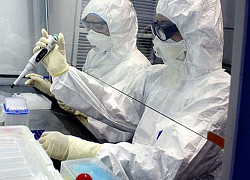5 ca mắc Omicron nhập cảnh tại TP.HCM đều không có triệu chứng, nồng độ virus thấp