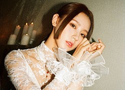 Đông sang kiếm bạc, xuân kiếm vàng, 3 con giáp tài lộc bội thu, ước mơ thành sự thật, tình tiền đều viên mãn