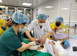 Ngắm nhìn những bé "hổ con" chào đời trong khoảnh khắc giao thừa