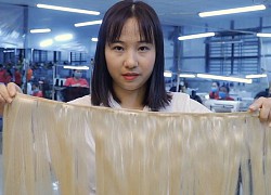 Nghề thu mua tóc rối ở Việt Nam lên báo nước ngoài