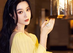 Phạm Băng Băng sang đấy nhưng Triệu Lệ Dĩnh "biết ý" hơn, nên kèo này Phạm gia hụt nhẹ nhé