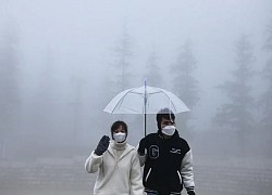 Sa Pa mờ sương ngày đầu năm