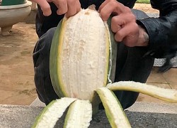 To như dừa, mềm như đu đủ: Thách bạn đoán đúng đây là quả gì ở Việt Nam!