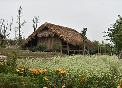 Trở về tuổi thơ với ngôi làng ngay giữa lòng Hà Nội