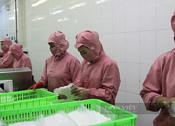 Việt Nam tham gia khu vực thương mại tự do lớn nhất thế giới, nông sản nào được lợi nhất?