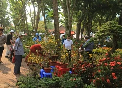 Chợ hoa Sài Gòn ngày sát Tết, người bán 'cược hết vào ván này, mong vực dậy'