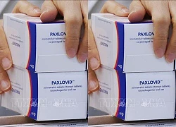 EMA 'bật đèn xanh' cho thuốc điều trị Paxlovid của Pfizer