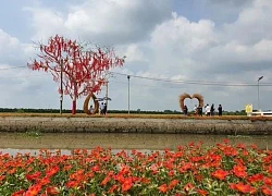 'Phố ông Lang' - Điểm du lịch sinh thái độc đáo, miễn phí tại Cần Thơ